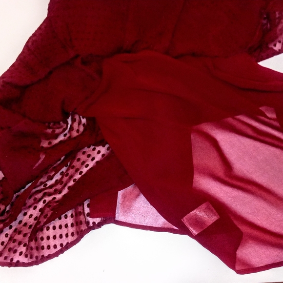 Meadow Rue for Anthropology Sheer Dot Top-MEDIUM - Picture 4 of 7